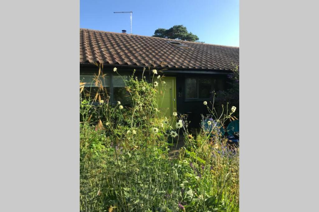 The Yellow Door Whitstable - Peaceful Retreat Close To Beach Eksteriør billede